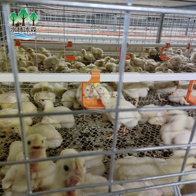 Tri-level Broiler Rearing Cage